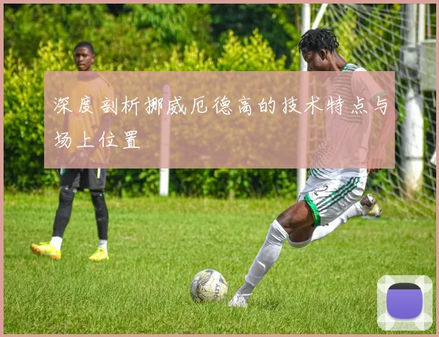 深度剖析挪威厄德高的技术特点与场上位置